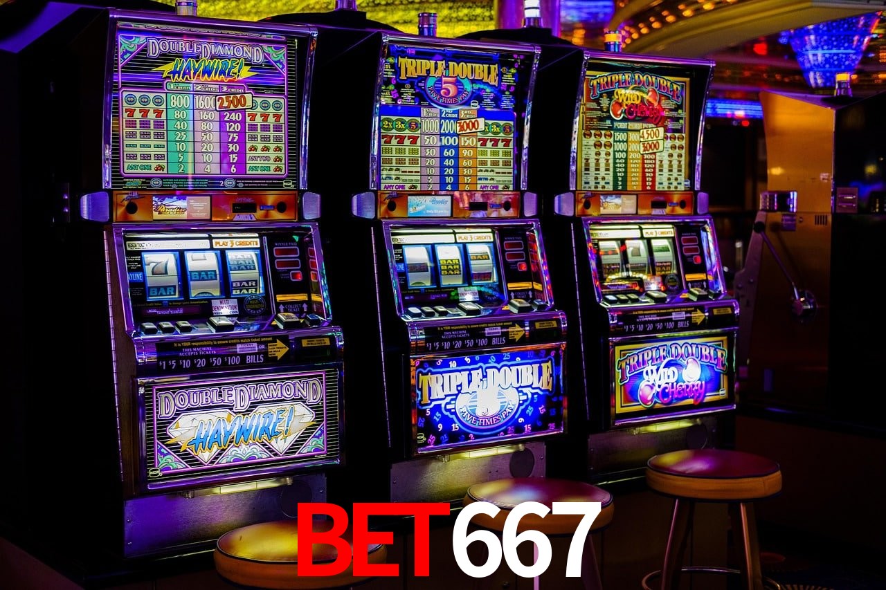Sports Statistics bet667